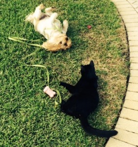 Tommy St. James playing with his best friend Roxy Mittenthal.